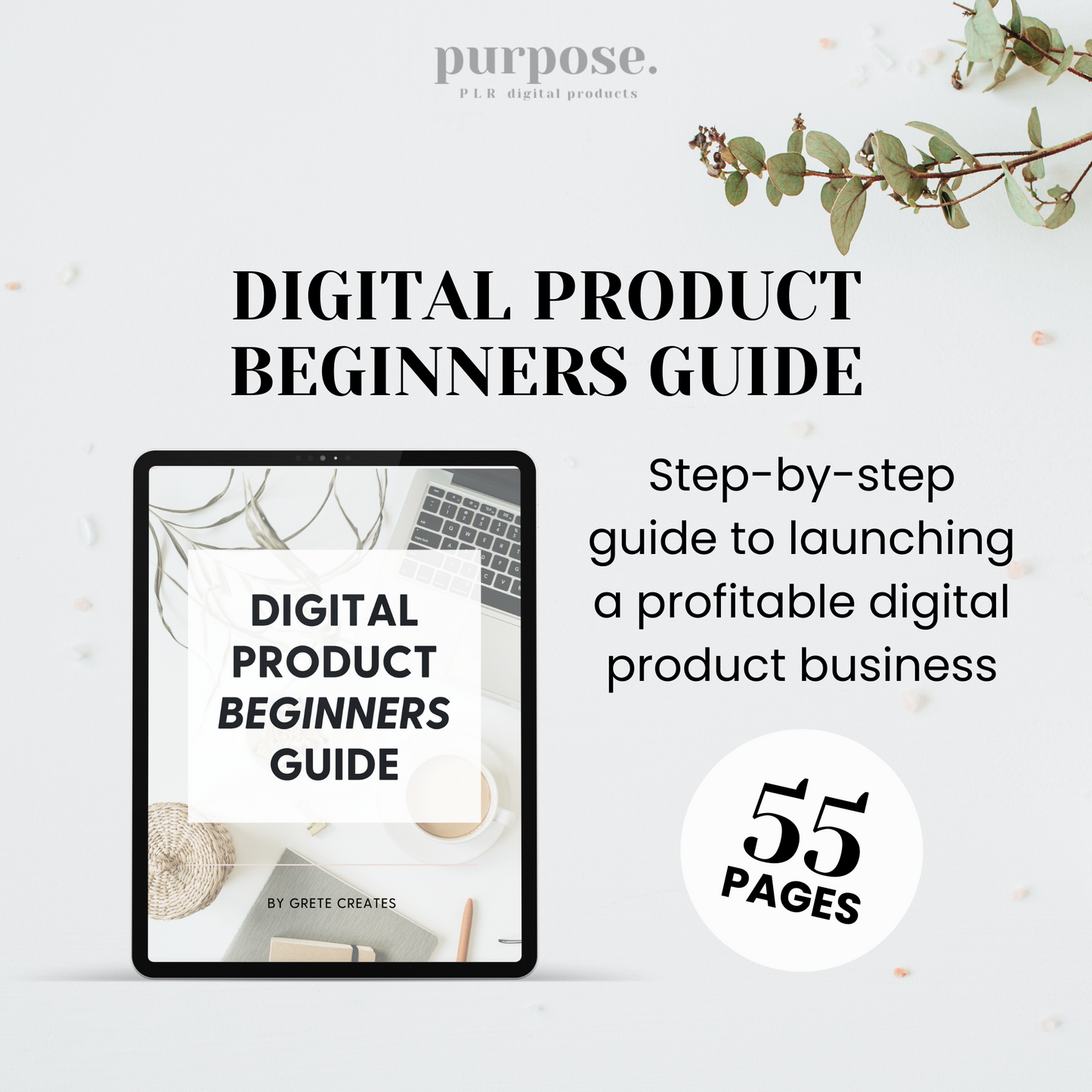 Digital Product Beginners Guide