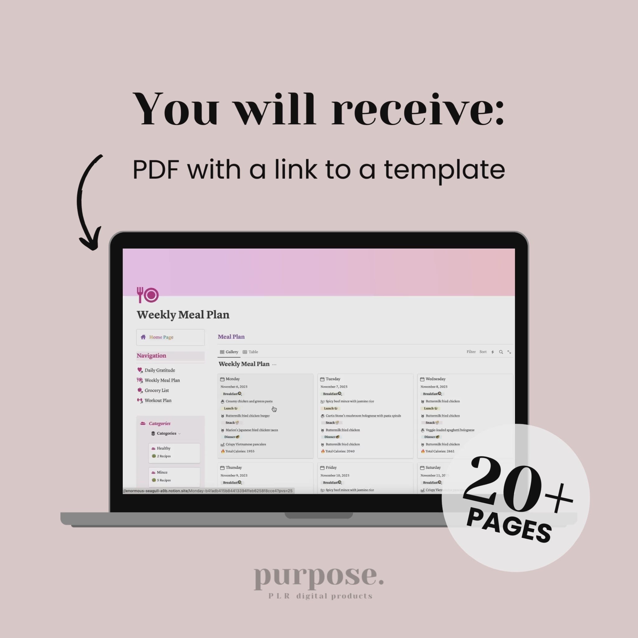 Professionally Designed Digital Products With Resell Rights Purposeplr