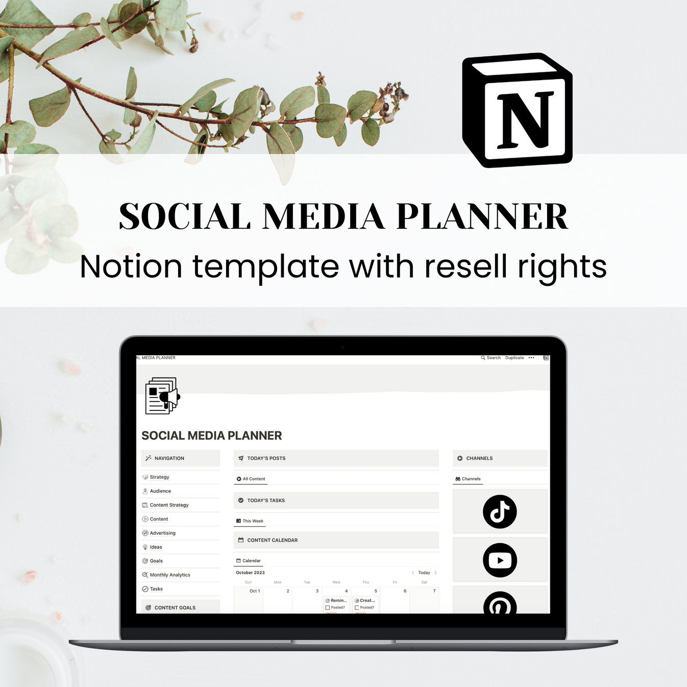 Social Media Planner Notion Template purposeplr